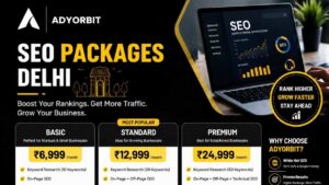 SEO Packages Delhi